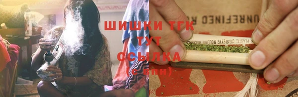 ГАЛЛЮЦИНОГЕННЫЕ ГРИБЫ Аркадак