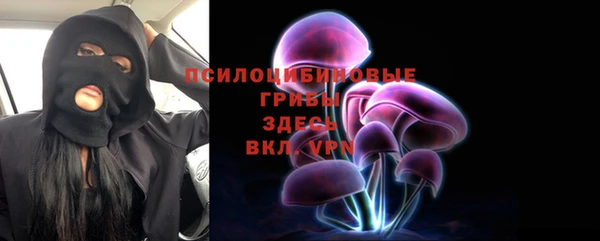 ГАЛЛЮЦИНОГЕННЫЕ ГРИБЫ Аркадак