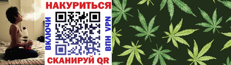 Марихуана конопля хочу mega ссылки Облучье